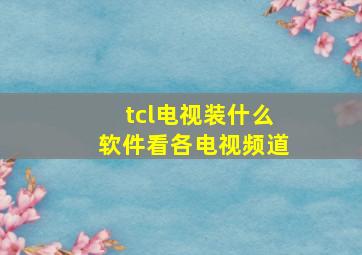 tcl电视装什么软件看各电视频道