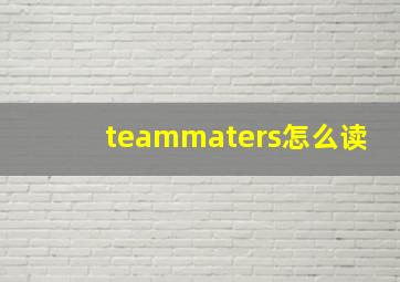 teammaters怎么读