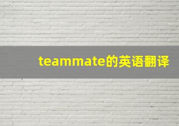 teammate的英语翻译