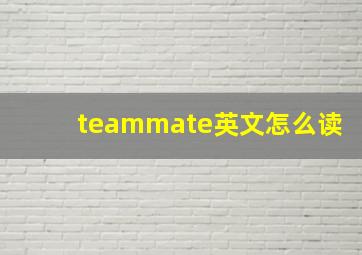 teammate英文怎么读