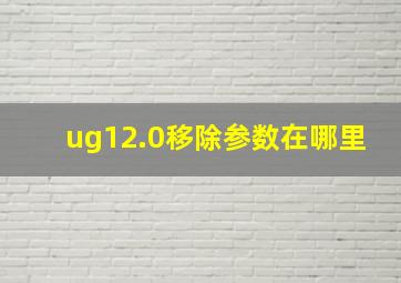 ug12.0移除参数在哪里