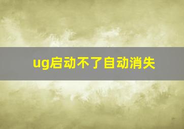 ug启动不了自动消失