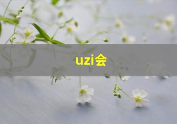 uzi会