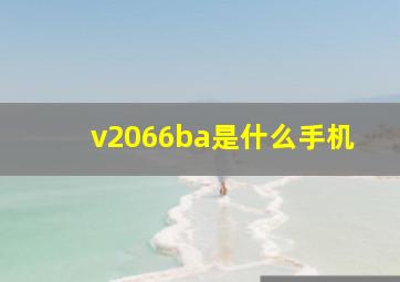 v2066ba是什么手机