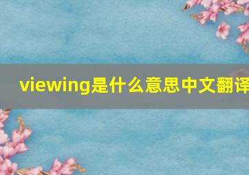 viewing是什么意思中文翻译