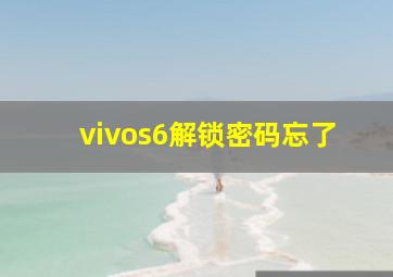 vivos6解锁密码忘了