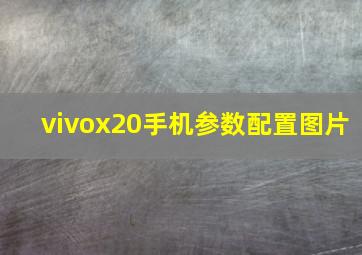 vivox20手机参数配置图片