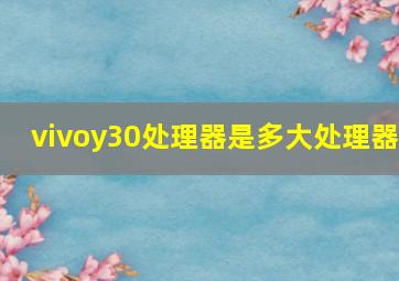 vivoy30处理器是多大处理器