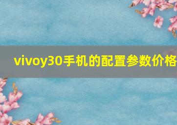 vivoy30手机的配置参数价格