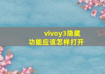 vivoy3隐藏功能应该怎样打开