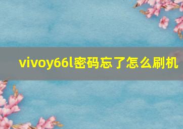 vivoy66l密码忘了怎么刷机