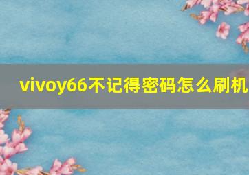 vivoy66不记得密码怎么刷机