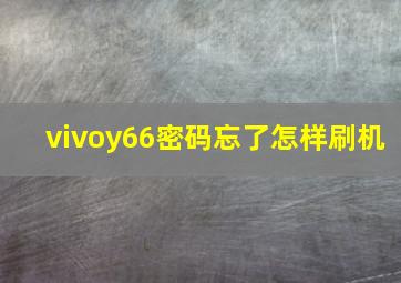 vivoy66密码忘了怎样刷机