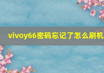 vivoy66密码忘记了怎么刷机