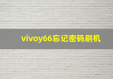 vivoy66忘记密码刷机