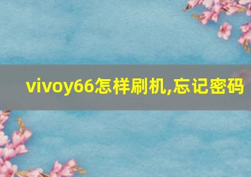 vivoy66怎样刷机,忘记密码