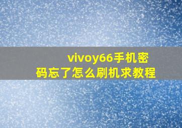 vivoy66手机密码忘了怎么刷机求教程