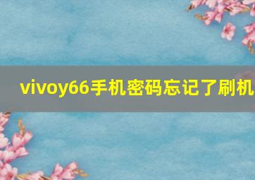 vivoy66手机密码忘记了刷机