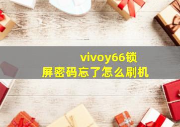 vivoy66锁屏密码忘了怎么刷机