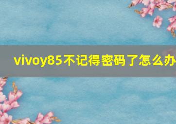 vivoy85不记得密码了怎么办