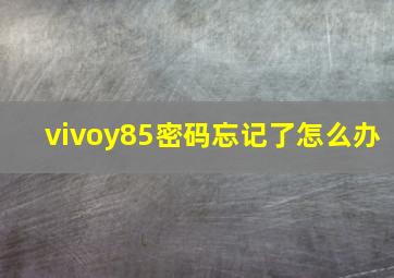 vivoy85密码忘记了怎么办