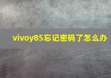 vivoy85忘记密码了怎么办