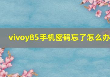 vivoy85手机密码忘了怎么办