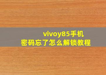 vivoy85手机密码忘了怎么解锁教程