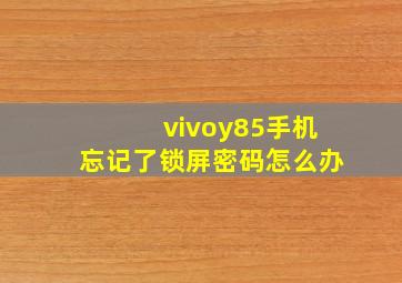 vivoy85手机忘记了锁屏密码怎么办