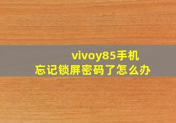 vivoy85手机忘记锁屏密码了怎么办