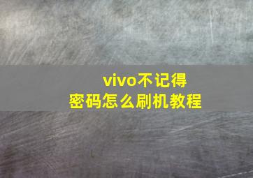 vivo不记得密码怎么刷机教程