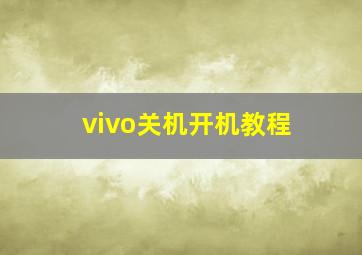 vivo关机开机教程