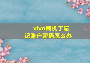 vivo刷机了忘记账户密码怎么办