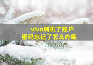 vivo刷机了账户密码忘记了怎么办呢