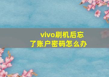 vivo刷机后忘了账户密码怎么办