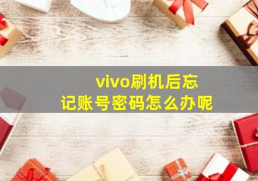 vivo刷机后忘记账号密码怎么办呢