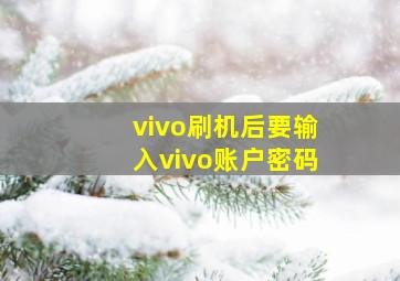 vivo刷机后要输入vivo账户密码