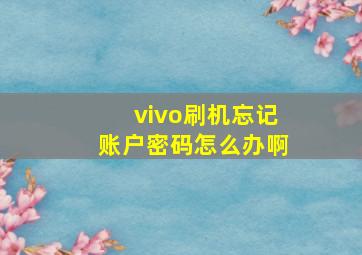 vivo刷机忘记账户密码怎么办啊