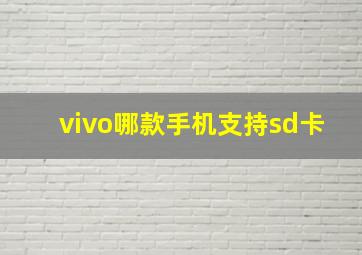 vivo哪款手机支持sd卡