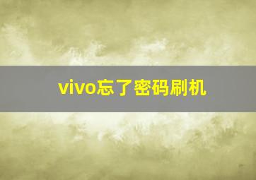 vivo忘了密码刷机