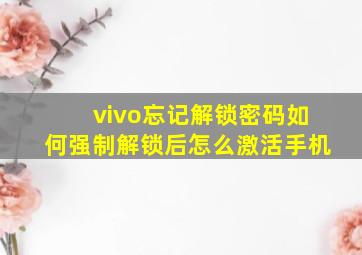 vivo忘记解锁密码如何强制解锁后怎么激活手机