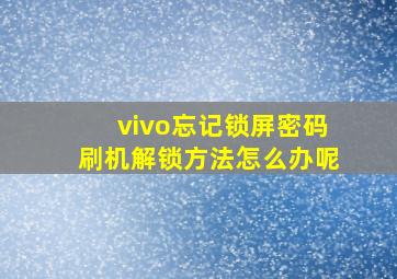 vivo忘记锁屏密码刷机解锁方法怎么办呢