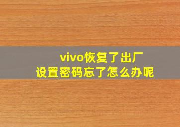 vivo恢复了出厂设置密码忘了怎么办呢