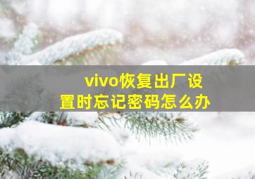 vivo恢复出厂设置时忘记密码怎么办