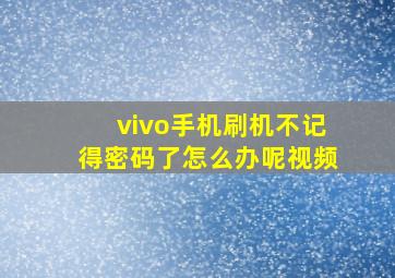 vivo手机刷机不记得密码了怎么办呢视频