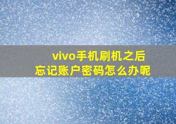 vivo手机刷机之后忘记账户密码怎么办呢