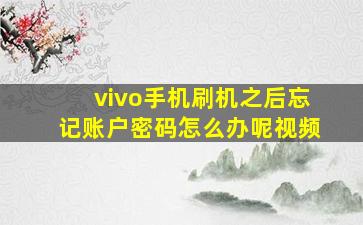 vivo手机刷机之后忘记账户密码怎么办呢视频