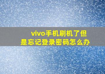 vivo手机刷机了但是忘记登录密码怎么办