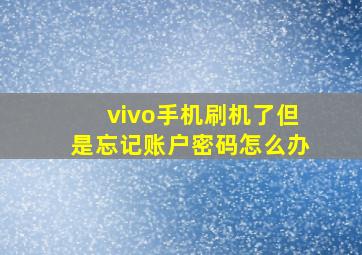 vivo手机刷机了但是忘记账户密码怎么办