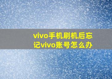 vivo手机刷机后忘记vivo账号怎么办